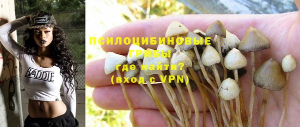 ALPHA PVP Заволжск