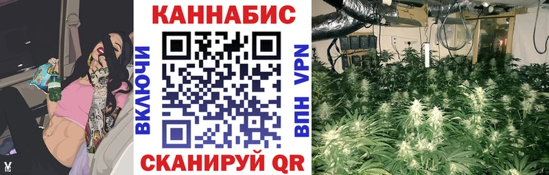 Шишки марихуана тримм  Мезень 